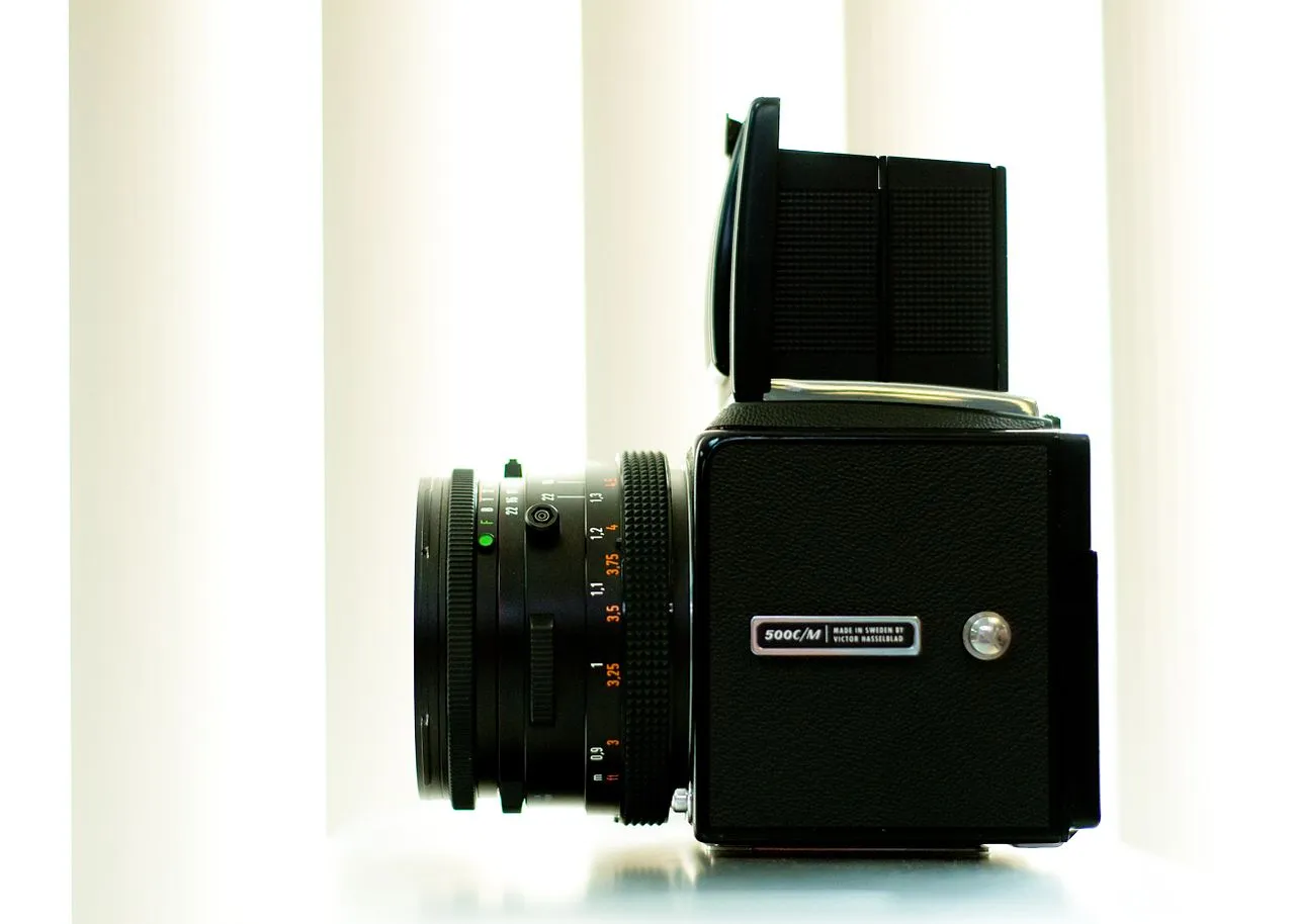 Hasselblad 500C + 150mm Sonnar, photographed for the collection.