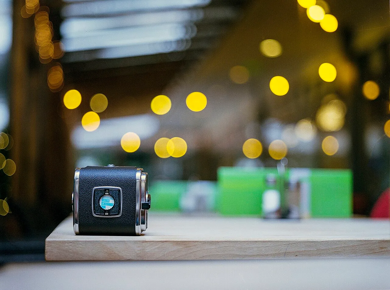Hasselblad A12 film back, photographed for the collection.